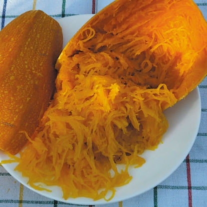 Picture of Winter Squash Vegetable Spaghetti (Trailing)